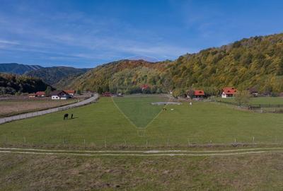 Teren 3.997 mp, priveliste superba Plaiul Foii, 0% comision - 2