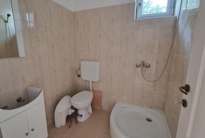 Casa Pensiune in Viile Satu Mare teren 1,63 ha, 11 camere, 10 bai - 8