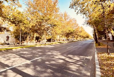 La cativa pasi de Piata Victoriei Metrou -  MANSARDA open space - 10