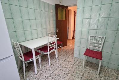 Apartament cu 3 camere decomandat în Parcul Circului - 15