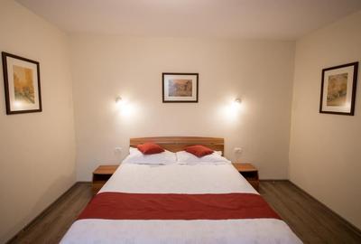 Apartament cu 2 camere semidecomandat în Central - 3