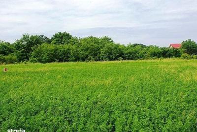 Spațiu comercial, în Nord - 3