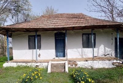 Vand casa traditionala ciolanesti Vand casa traditionala ciolanesti - 1