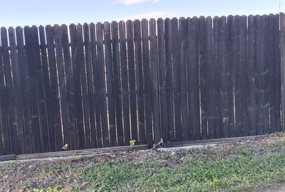 Ciolpani, sat Izvorani - 4