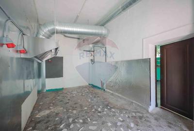Spatiu comercial de vanzare, Bulevardul Dimitrie Cantemir - 10