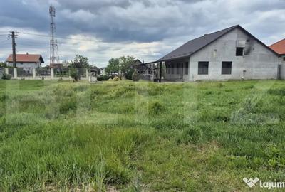 Casă cu 3 camere cu Teren 2918 Mp în Vetiș - 6