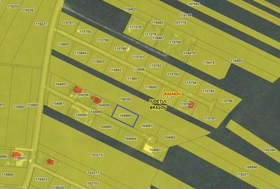 Rasnov -Glejarie 1000 mp front 42m posibilitate duplex sau 2 constructii - 17