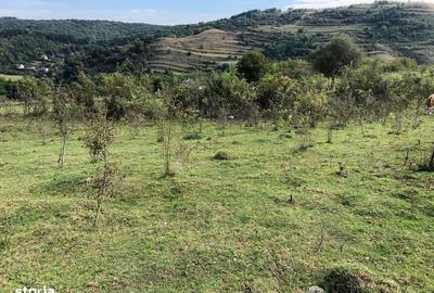 Spațiu comercial, în Tăuți - 1