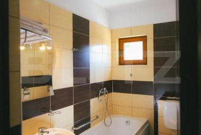Spațiu comercial, de 650 mp, în Clăbucet - 12