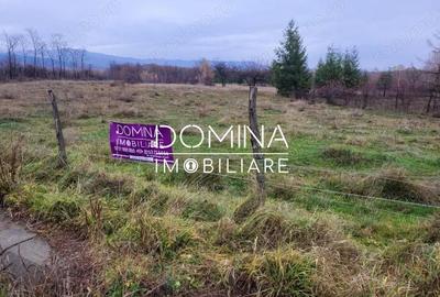 Teren de 5000 mp, în Central