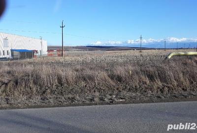 Teren de 22500 mp, în Central - 3
