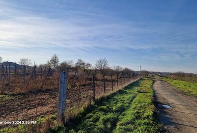 Spațiu comercial, în Central - 1