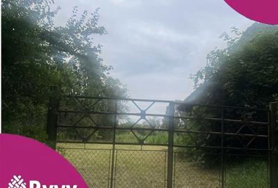 Teren Construcții intravilan de 2400 mp, în Pachia - 6