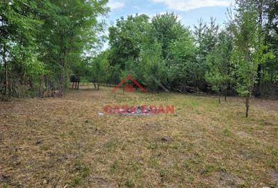 Casă cu Teren 2093 Mp în Bănești - 12