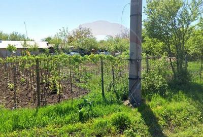 Casa / Vila cu 6 camere de vanzare - 3