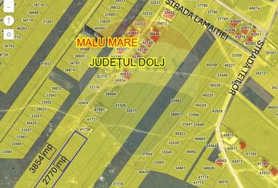 Teren Selgros Aleea 7 din str. Lamaitei 6354 mp intravilan - 2