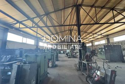 Teren Construcții intravilan de 6746 mp, în Nord - 3