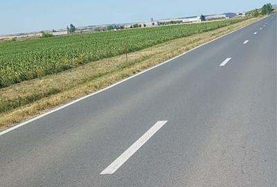 Teren de 9500 mp, în Remetea Mare - 3