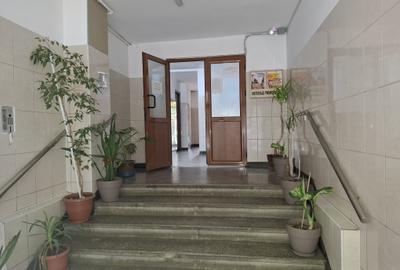 Crangasi - Ceahlăul cu balcon mare  si beci! - 7