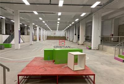 Depozit/hala/spatiu industrial Politehnica - Apaca - 5