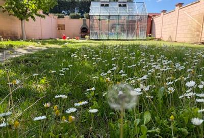 Casă individuală cu 4 camere cu Teren 337 Mp în Braytim - 6