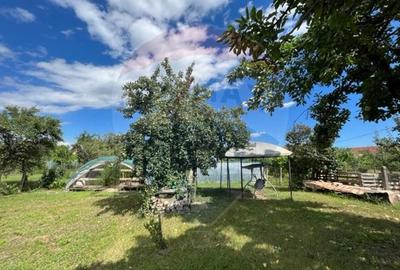 Casă  str. Progresului , Sebes, destinatie : uni/multifamiliala - 14