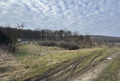 Teren de 600 mp, în Corunca - 5