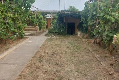 Casa de vanzare Biled - 7