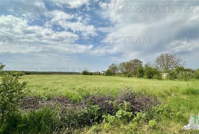 Teren Construcții intravilan de 2581.4699707031 mp, în Găneasa - 2