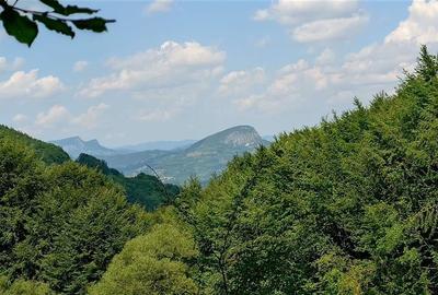 Teren montan cu priveliste si izvor - 5727mp in Buces, langa padure