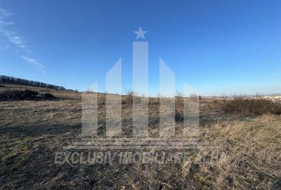 Teren Construcții intravilan de 1000 mp, în Cetate - 2