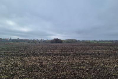 Teren intravilan,Frumusani, sat Pasarea - 2