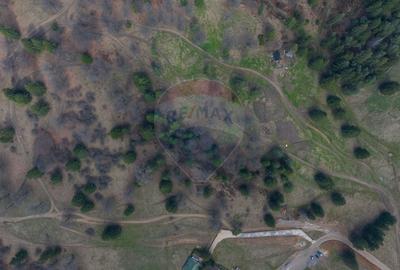 Teren Construcții intravilan de 1872 mp, în Poiana Brașov - 7