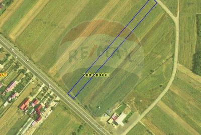 Teren 4 948 mp Bradesti / Racarii de Jos - 2