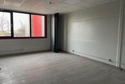 Spatiu depozitare si productie Crevedia - 6
