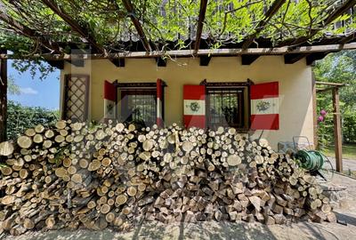 Cabana rustica de vis pe Valea Avrigului – un colt de rai in mijlocul naturii - 5