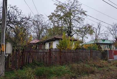 Casa batraneasca plus teren 1600mp Toporu jud. Giurgiu - 14
