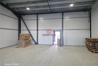 Inchiriere depozit hala spatiu industrial Theodor Pallady - Drumul Intre Tarlale - Oxigenului - 3