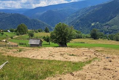 Vand teren  Transalpina ( Tau Bistra,aprox.2 km de " Popasul Regelui") - 3