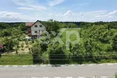 Teren Construcții intravilan de 3052 mp, în Drăganu - 3