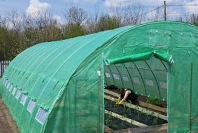 Casa renovata + teren 2776 mp la 50 Km de Bucuresti, langa lacul Valea Argovei - 4