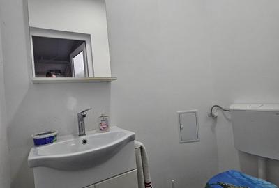 Spațiu industrial, în Sântuhalm - 12