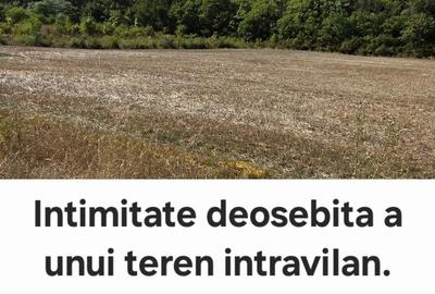 Teren de 1704 mp, în Sicrita - 4