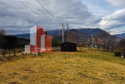 Teren 937 mp Bran/ Sohodol - 3