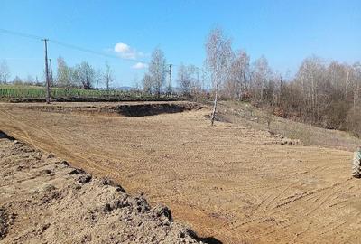 Teren de 2000 mp, în Bulz - 3