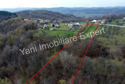 Teren de vanzare in comuna Valea Iasului, sat Cerbureni, jude? Arge?. - 6