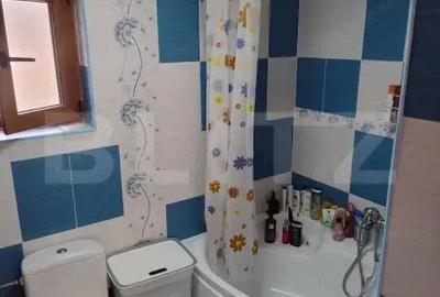 Casa in Teaca cu 4 camere si 10 ari de teren - 14