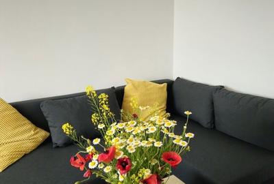 Apartament cu 2 camere nedecomandat în Central - 3