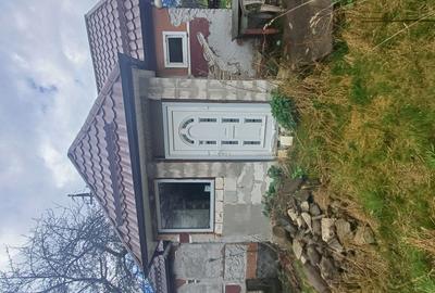 20 de arii si 2 case in Fi?cau - 5