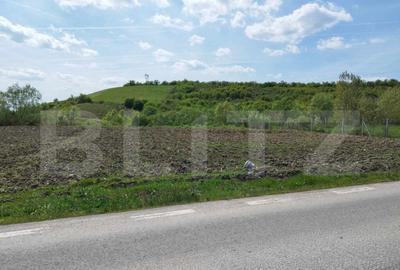 Teren 31 ari, zona linistita - 1